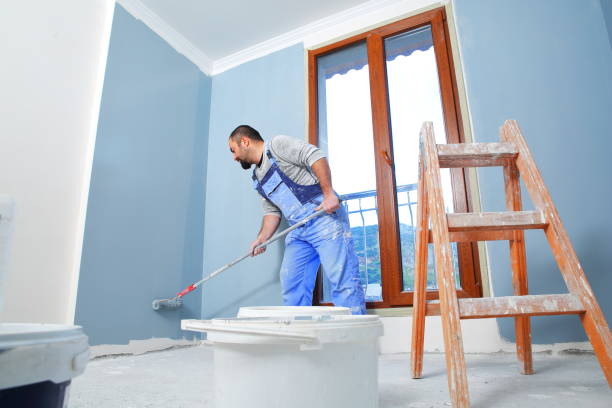 Best Mold Damage Restoration  in Renova, MS