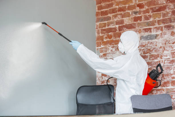 Mold Remediation for Rental Properties in Renova, MS