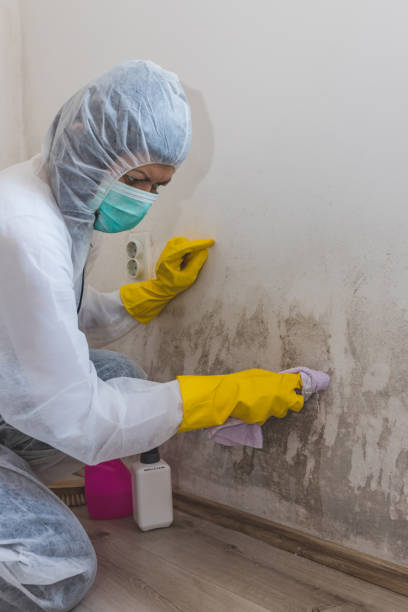 Best Biohazard Mold Removal  in Renova, MS