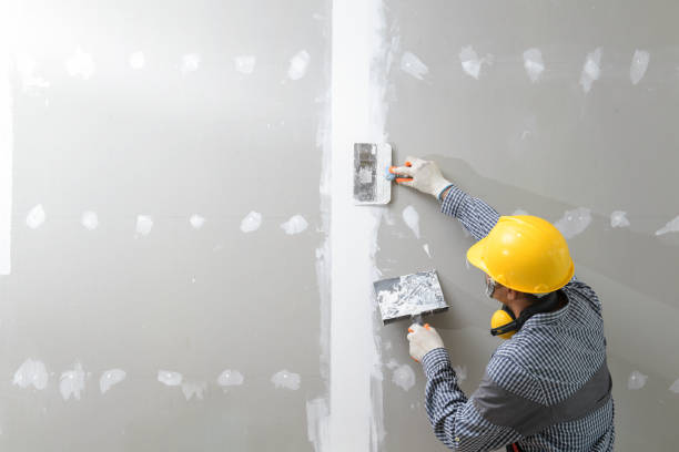 Best Residential Mold Inspection & Testing  in Renova, MS