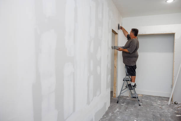 Best Mold Odor Removal Services  in Renova, MS
