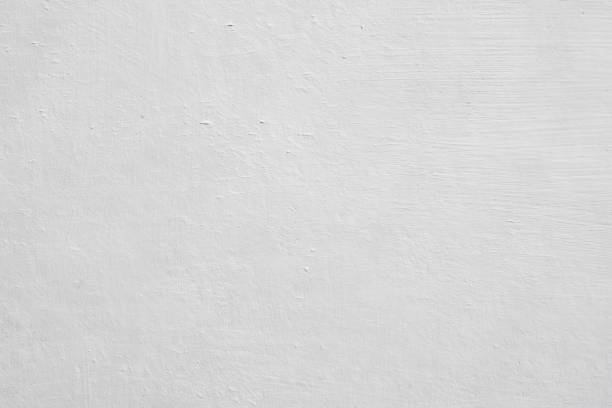 Best Black Mold Removal  in Renova, MS