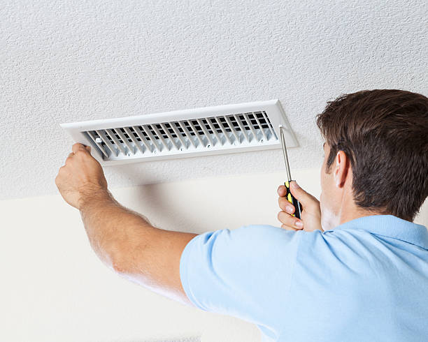 Best Crawl Space Mold Remediation  in Renova, MS