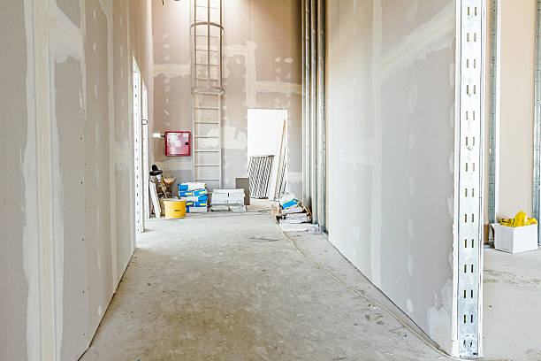 Best Basement Mold Removal  in Renova, MS