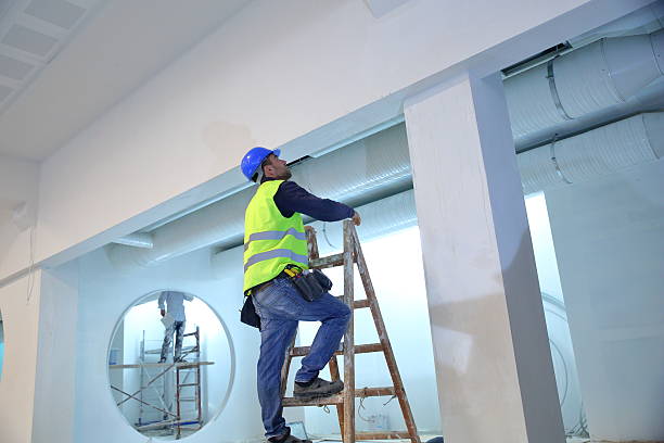 Best Post-Construction Mold Inspection  in Renova, MS