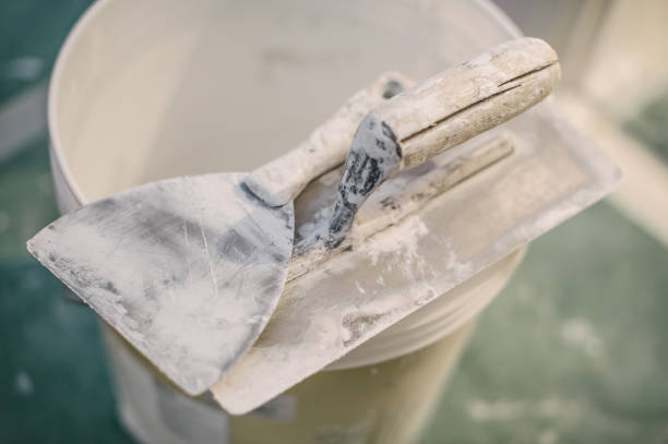 Best Mold Damage Restoration  in Renova, MS